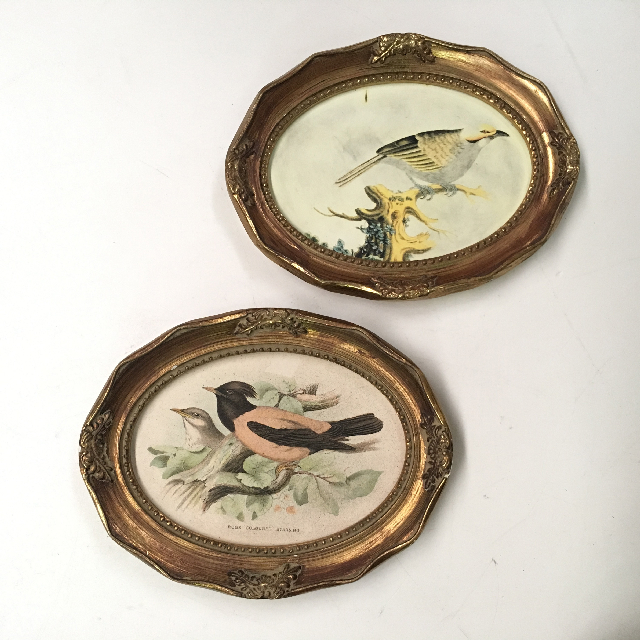 ARTWORK, Miniature - Oval Framed Birds